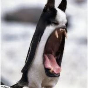 Meet your Posher, June